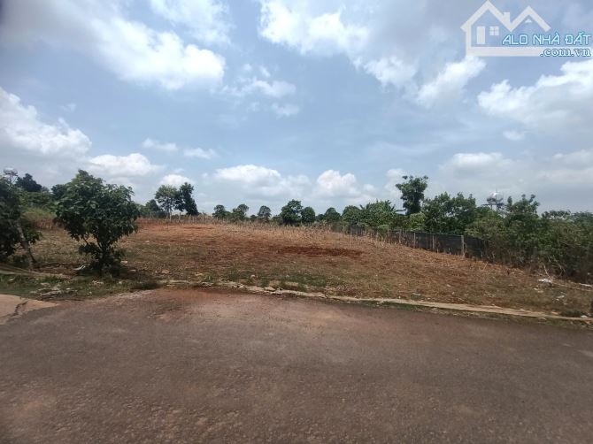 bán đất 1700m2 Cạnh DH1 Dt 25x65m tc290m Làm Kho Bãi Giá 5,2ty - 1