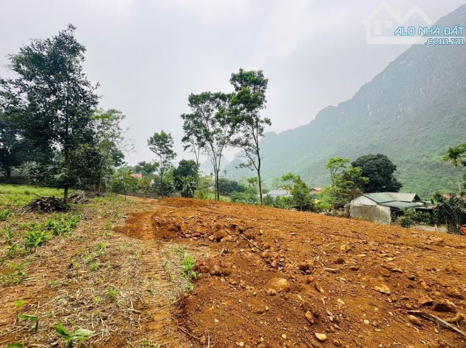 BÁN GẤP SIÊU PHẨM VIEW NÚI ĐÁ CÁNH ĐỒNG CÓ DT 735m2 (50m2 ONT) GIÁ ĐẦU TƯ - 1