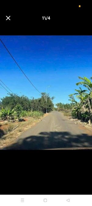 BÁN LÔ ĐẤT TẠI QUẢNG THÀNH, CHÂU ĐỨC, VŨNG TÀU, FULL HỒNG, DT 1 HÉC, GIÁ 6.8 TI - 2