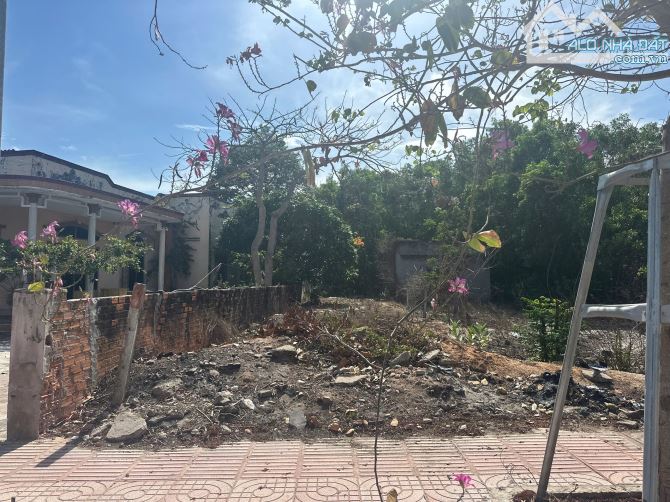 Bán đất thổ cư mặt tiền Nguyễn Du, thị xã LaGi giá rẻ gần biển cam bình - 2