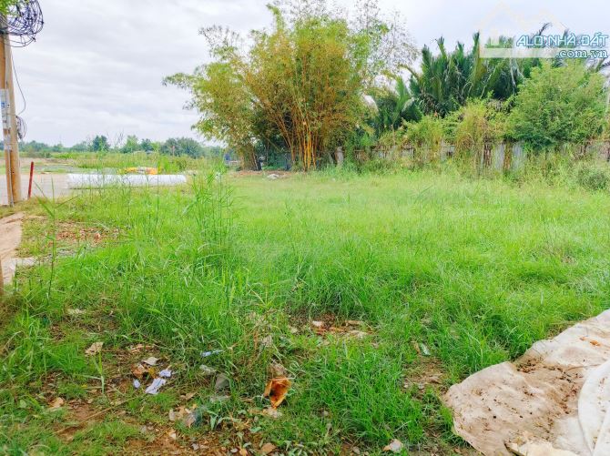 Đất xây nhà vườn,320m2,đường 12m, Đ.Nguyễn Bình - 2