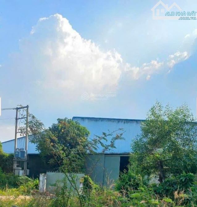 ➡️ Bán xưởng SX 11000m² Xã Bắc Tân Uyên - Bình Dương giá 108ty thương lượng chính chủ - 2
