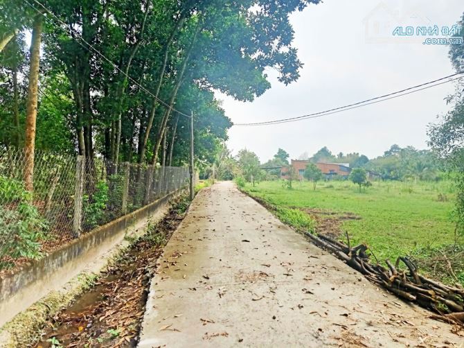Bán đất 1/ đường Võ Văn Điều - 790m2 - 15x61 nở hậu 17m - xã Phước Thạnh - Củ Chi - 2