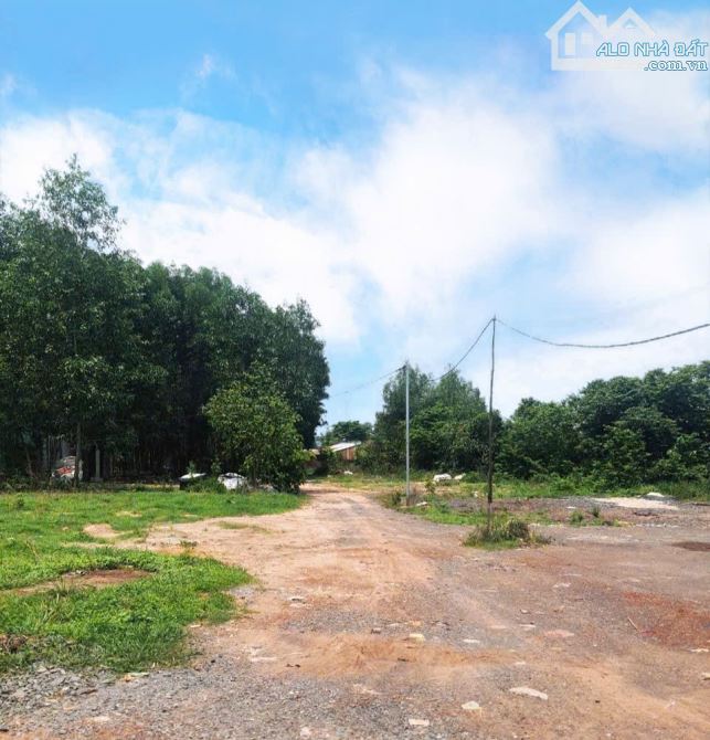 Đất ngay khu TĐC phú sơn. Bình Minh, Trảng Bom. 1000m2. Cách đường Bắc Hòa, Phú Sơn 50m. - 2