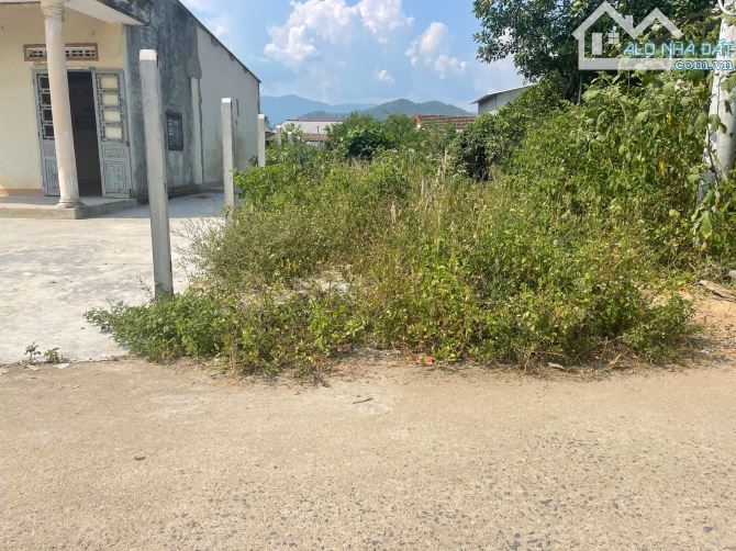 Bán đất Diên Đồng giá rẻ  full thổ cư đường thông sát bên trục đường nhựa liên xã - 2