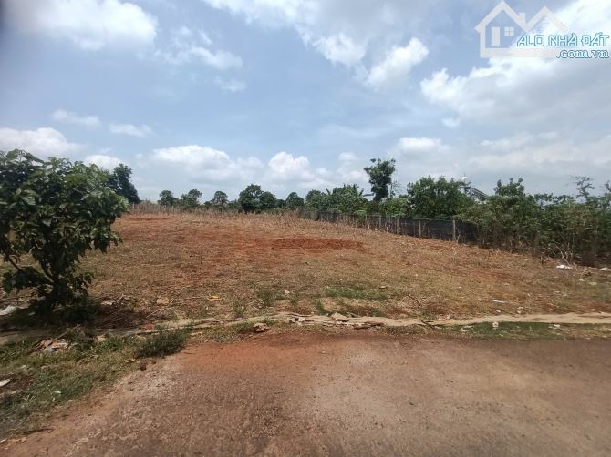 bán đất 1700m2 Cạnh DH1 Dt 25x65m tc290m Làm Kho Bãi Giá 5,2ty - 2