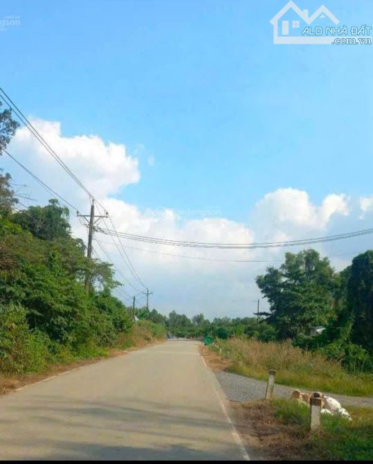 ➡️ Bán xưởng SX 11000m² Xã Bắc Tân Uyên - Bình Dương giá 108ty thương lượng chính chủ - 3
