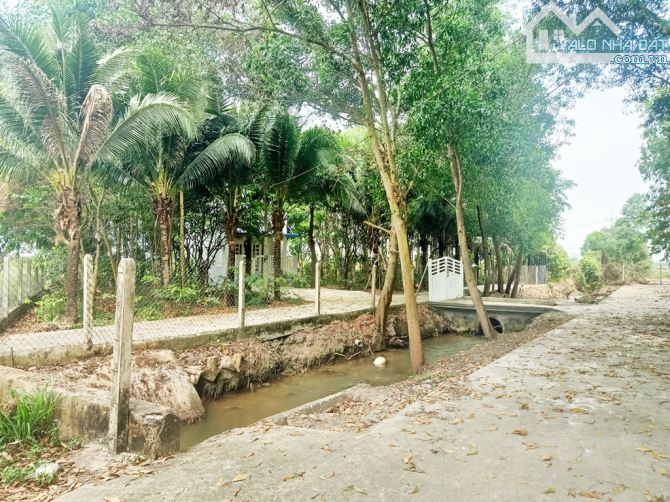 Bán đất 1/ đường Võ Văn Điều - 790m2 - 15x61 nở hậu 17m - xã Phước Thạnh - Củ Chi - 3