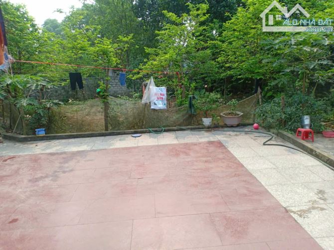 Gia đình nhà em có mảnh đất cần chuyển nhượng - 4