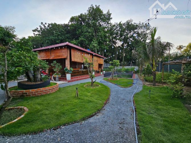 Bán nhà vườn nghỉ dưỡng 1600m2 ở  TT P.Định Hòa ,TP Thủ Dầu Một, Bình Dương - 4