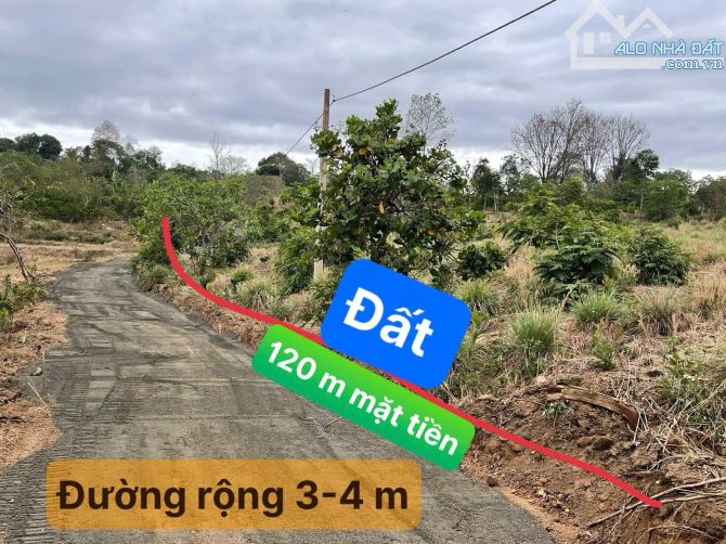 Bán nhanh 490 triệu cho 4,4 sào buôn Niêng 2 xã Ea Noul Buôn Đôn - 5