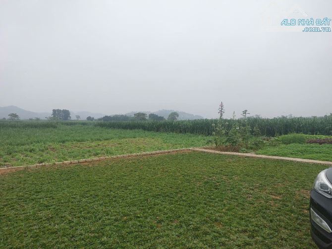 Bán ViLa Siêu Đẹp Tại Vân Hoà Ba Vì, 1760m2_300m2 ONT Giá 24 tỉ - 5