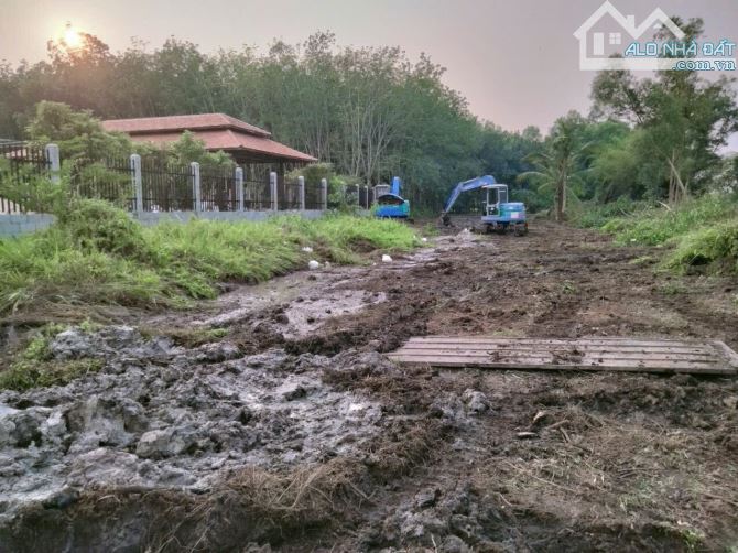 Cần bán 3197m2 đất view kênh đức lập gần vành đai 4 giá 5,435 tỷ - 5