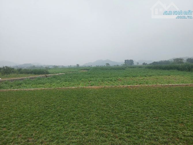 Bán ViLa Siêu Đẹp Tại Vân Hoà Ba Vì, 1760m2_300m2 ONT Giá 24 tỉ - 6