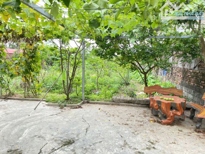 Bán đất Vũ Vị - Minh Tân - Kiến Thụy - Hải Phòng - 6