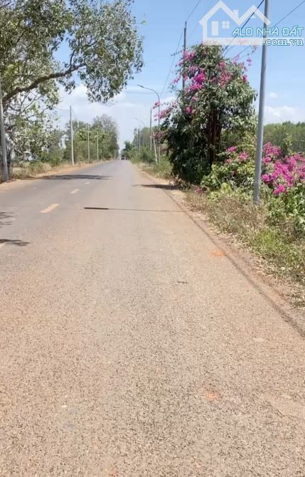 LÔ ĐẤT 3.3 MẪU NẰM 2 MẶT TIỀN ĐƯỜNG LIÊN XÃ,SẴN THỔ CƯ, LIỀN KỀ CAO TỐC LONG THÀNH-HỒ TRÀM - 6