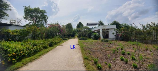 Bán trang trại: Sầu riêng  51.000m² , ĐT 850, xã Láng Biển - 8
