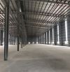 🔥Cho thuê KHO TIÊU CHUẨN 6.000m PCCC tự động,cầu CONT,nhiều cửa KCN Quang Minh,Mê Linh,HN