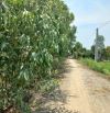 🔰Bán đất lúa: 3.000m² (Mặt tiền 15m, nở hậu) 🔰Đường đá xe ba gác, xã Tân Hội Trung