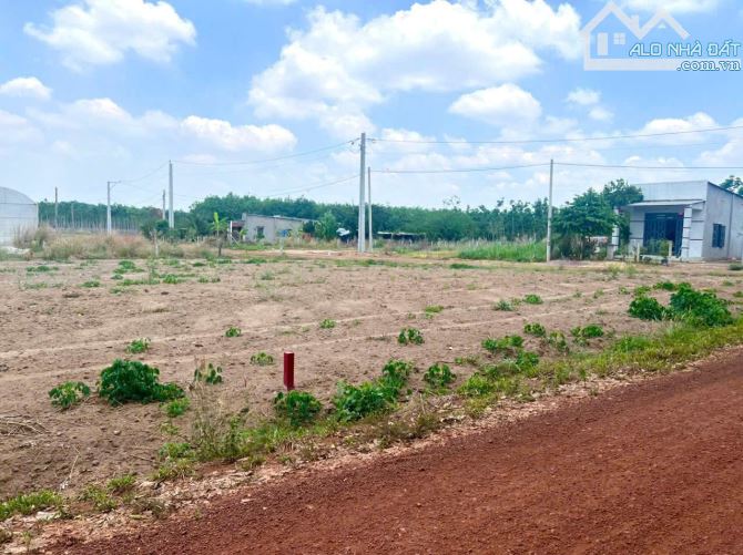 ĐẤT MẶT TIỀN LỘ GIỚI 10M GẦN TRUNG TÂM Phú Giáo