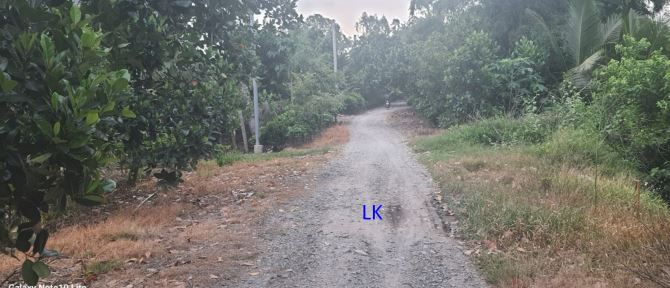 🔰 Bán đất lúa: 15.000m² (Mặt tiền 43m, nở hậu) 🔰 Đường đá xe ô tô, xã Láng Biển.