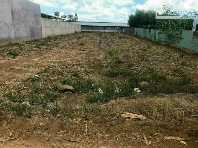 Bán lô đất siêu biệt thự,phường trảng dài,diện tích 12 x 39m,giá 5 tỷ 499 triệu có b