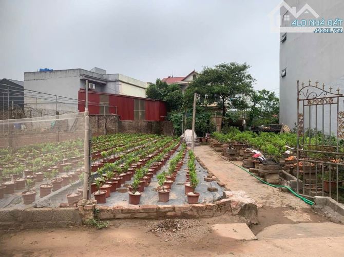 ❤️❤️  Cần bán 73.1m đất Hoàng Trạch Mễ sở