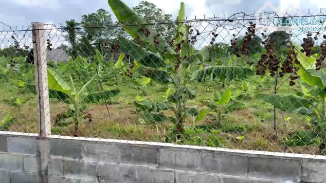 Bán đất sào mặt tiền nhựa xã Láng Lớn, Châu Đức, Bà Rịa Vũng Tàu