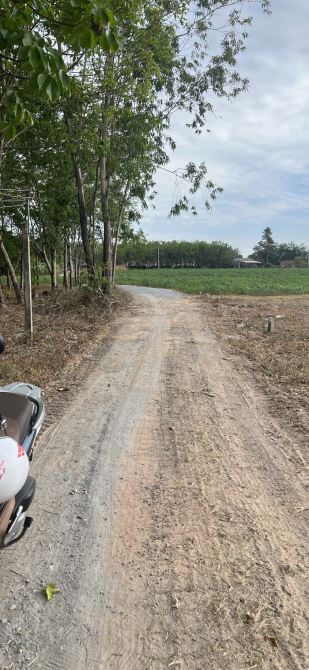 Bán lô đất tua hai đồng khởi cách nhựa 50m