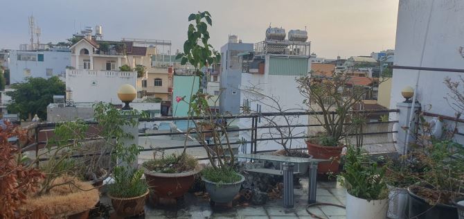 NHÀ ĐẸP LẠC LONG QUÂN - 4 TẦNG - NỞ HẬU TÀI LỘC - 58m2-GIÁ CHỈ 7.1 TỶ