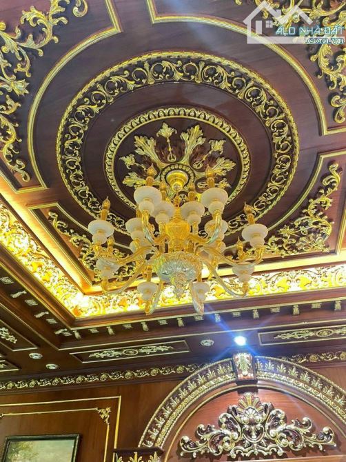 Biệt thự VIP bậc nhất Gò Vấp - dát vàng , gỏ đỏ nguyên khối - 10