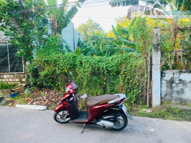 Bán Đất Tân Hưng. Tp Bà Rịa. 5x19, full thổ cư - 2