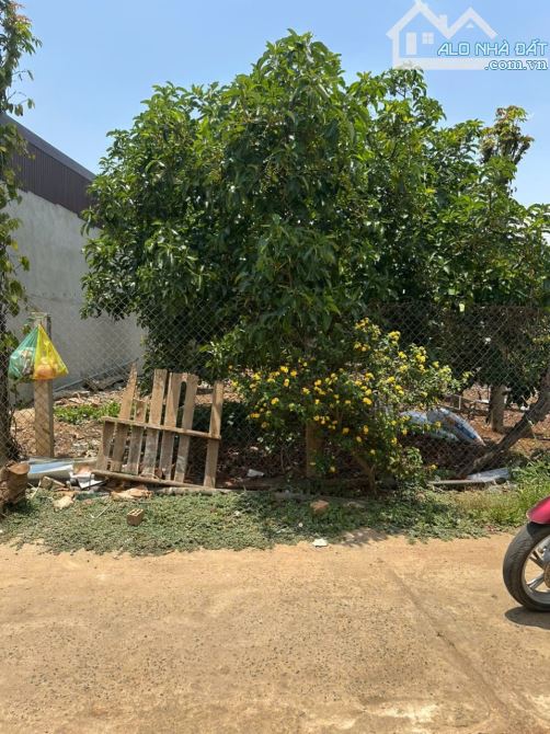 Bán lô đất 🔥1 Tỷ 6- xã Tân Hội - Đức Trọng- 252m ( đất ở 100m) - 1