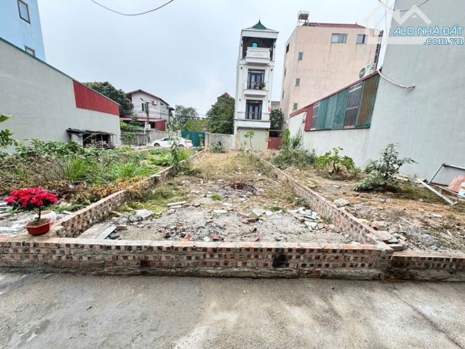 Bán đất siêu mẫu tại nguyên khê. Giá đẹp nhất - 1