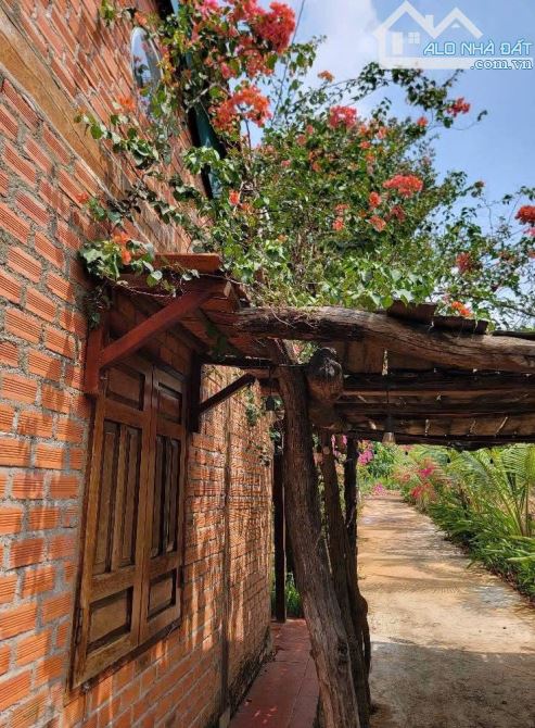 Bán nhà vườn 1000mv tại Hoà Nam Buôn Đôn - 1