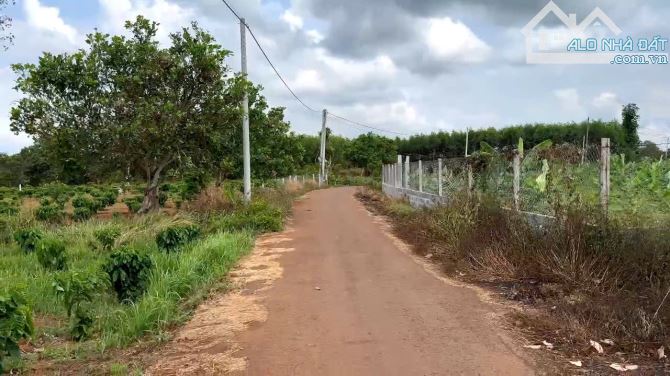 Bán đất sào mặt tiền nhựa xã Láng Lớn, Châu Đức, Bà Rịa Vũng Tàu - 1