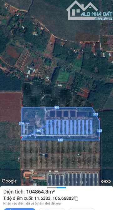BÁN TRANG TRẠI CHO NHÀ ĐẦU TƯ CHĂN NUÔI HEO HỚN QUẢN BÌNH PHƯỚC - 1
