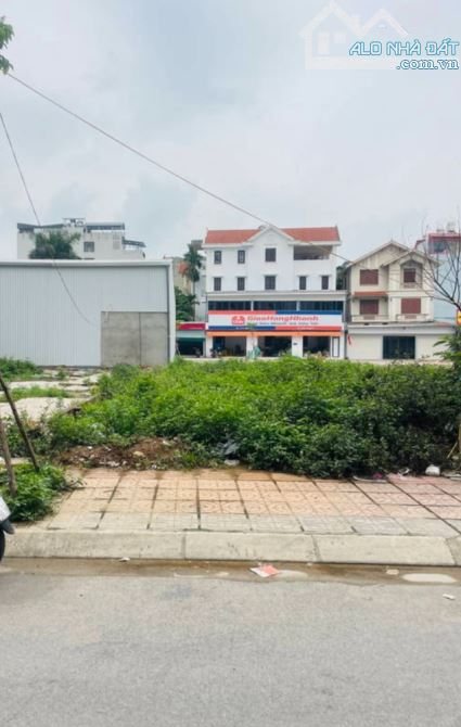 ĐẤT TĐC NGỌC THỤY MP VỈA HÈ RỘNG 80M, MẶT TIỀN 5.6M, 24.7 TỶ - 2