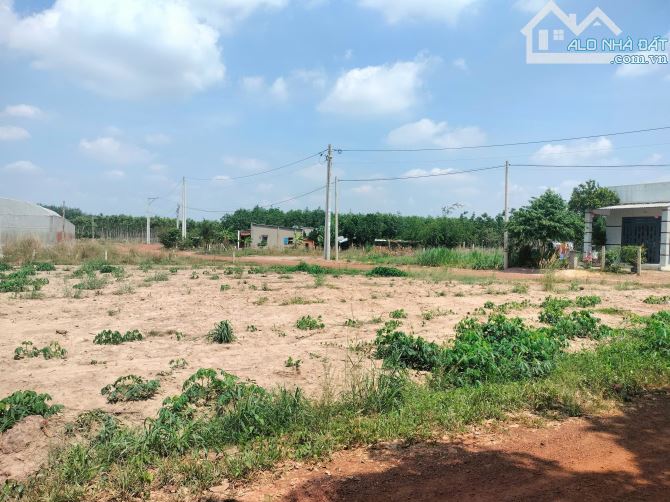 ĐẤT MẶT TIỀN LỘ GIỚI 10M GẦN TRUNG TÂM Phú Giáo - 2