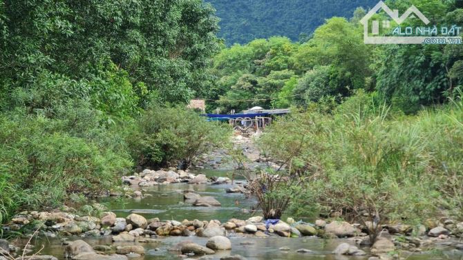 SỞ HỮU NGAY LÔ ĐẤT NGHỈ DƯỠNG 1300m² ĐẸP NHẤT GẦN BẠCH MÃ - 2