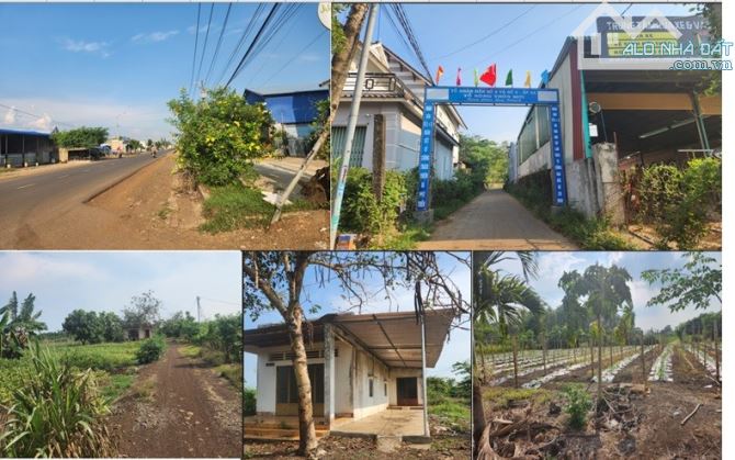 Bán đất xã Xuân Bắc, huyện Xuân Lộc - 2