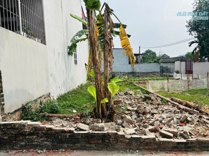 Bán lô đất  82.5m2  full thổ cư  Dược Hạ, Tiên Dược đường thông ô tô tận đất - 2