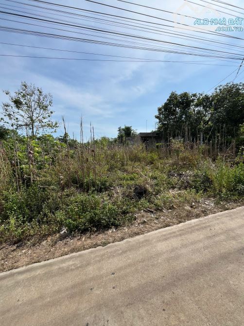 SIÊU RẺ BÁN GẤP LÔ BIỆT THƯ 3679M2(24MX128M) THỔ CƯ CÁCH QUỐC LỘ 20 300M CHỈ 2TY1 - 2