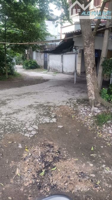 BÁN ĐẤT CỔ ĐIỂN A- TỨ HIỆP 114M2, Ô TÔ ĐỖ CỔNG, GẦN CHỢ, 120 TRIỆU/M2 - 2