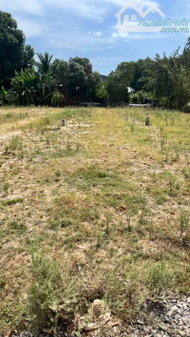 Bán lô đất tua hai đồng khởi cách nhựa 50m - 2