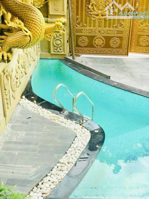 Biệt thự VIP bậc nhất Gò Vấp - dát vàng , gỏ đỏ nguyên khối - 3