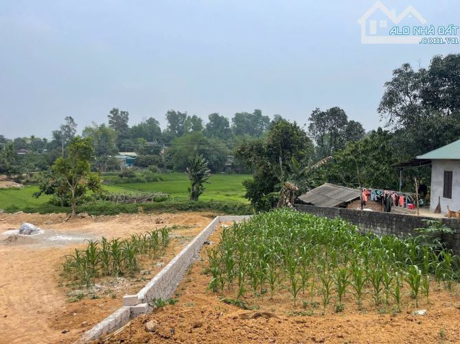 BÁN NHANH LÔ ĐẤT MẶT ĐƯỜNG QL21A THUỘC XÃ THANH CAO CÓ DT 166m2 FULL THỔ CƯ - 3