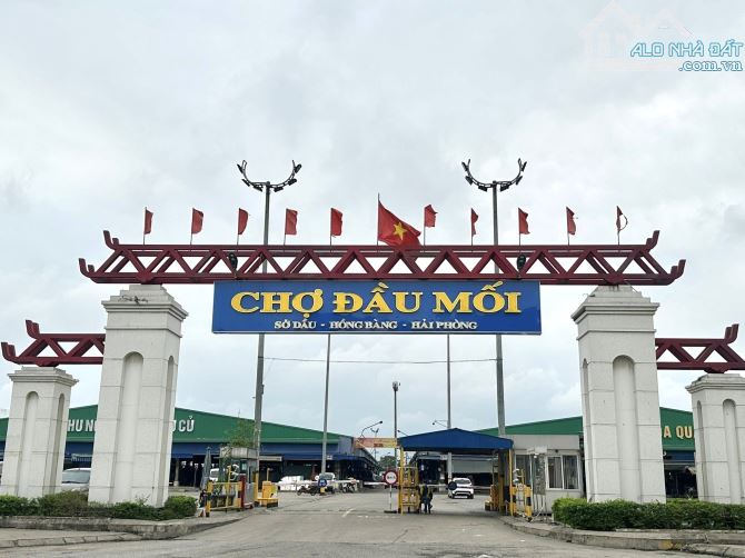 Mrs Tâm Chuyên đất TĐC Kiến Thiết, Sở Dầu, Hồng Bàng, Hải Phòng. Nhiều lô- Giá từ 60tr/m2 - 4