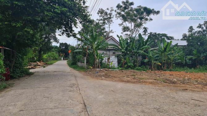 SỞ HỮU NGAY LÔ ĐẤT NGHỈ DƯỠNG 1300m² ĐẸP NHẤT GẦN BẠCH MÃ - 5