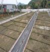 Cần Bán Gấp Lô Đất Có Sổ Hồng – Xây Dựng Tự Do, Công chứng trong ngày
